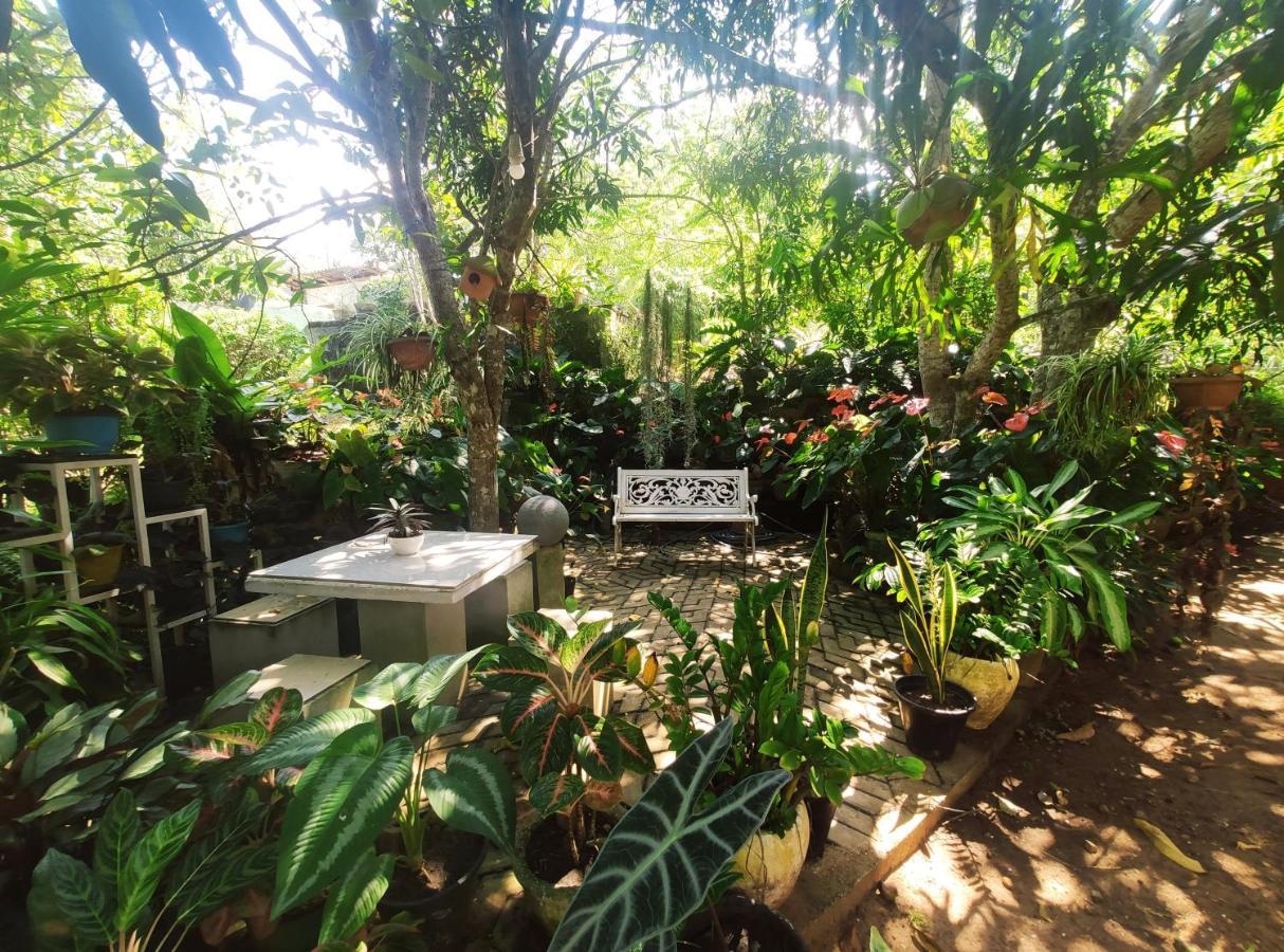 Bird House Homestays Tangalle Esterno foto