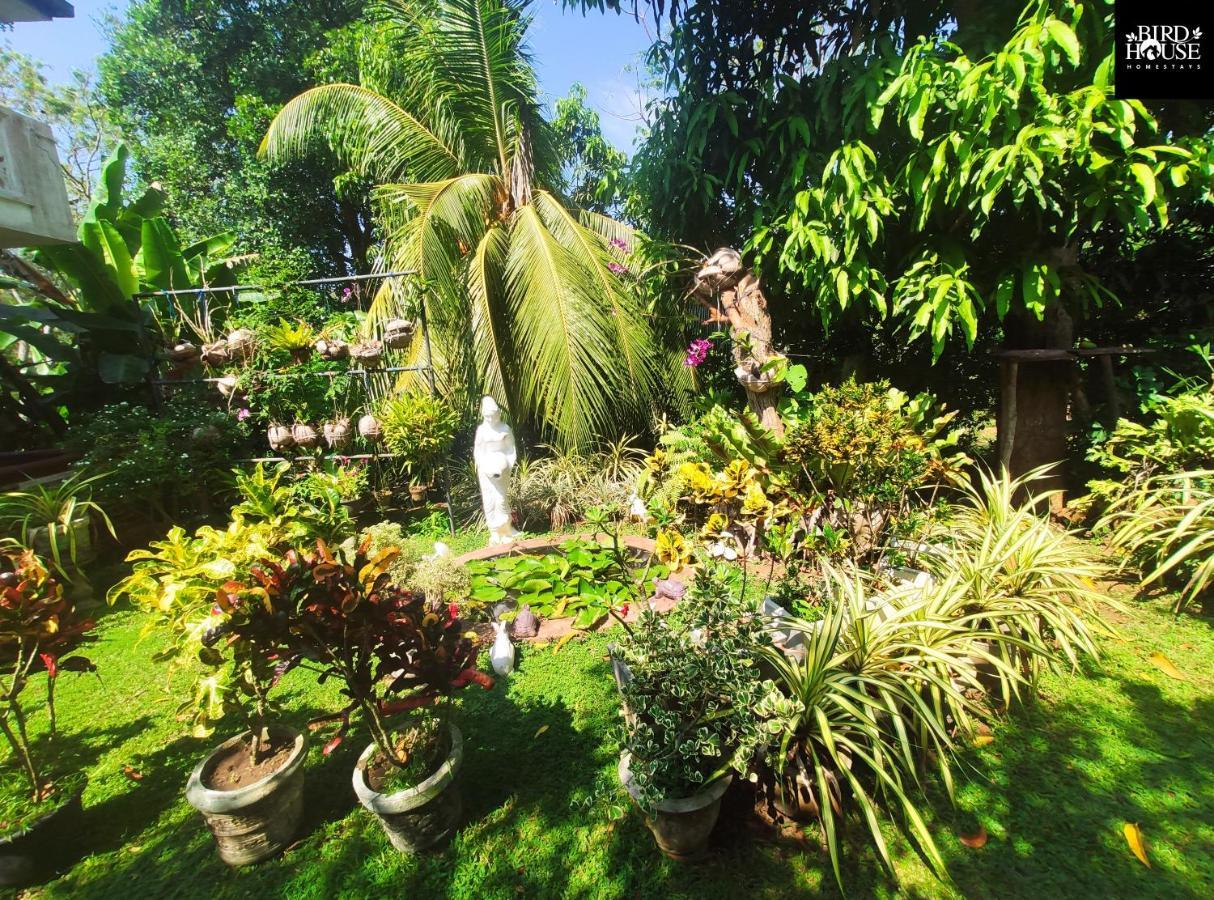 Bird House Homestays Tangalle Esterno foto